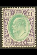 TRANSVAAL 1903 Ed VII £1 Green And Violet, Wmk CA, SG 258, Very Fine Mint. For More Images, Please Visit Http://www.sand - Unclassified