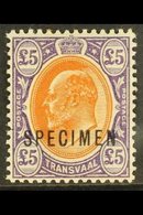 TRANSVAAL 1903 Ed VII £5 Orange Brown And Violet, Ovptd "SPECIMEN", SG 259s, Very Fine Mint. For More Images, Please Vis - Unclassified