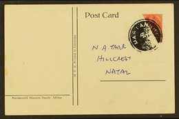 BISECT USED ON POSTCARD Coloured Picture Postcard Produced For Mariannhill Mission, Franked With KGV 1d, Cancelled By In - Unclassified