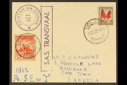 1962 "POTATO STAMP" COVER 1962 (7 FEB) To South Africa Bearing 1946 1d Red (4 Potatoes) Local Value Stamp Featuring Peng - Tristan Da Cunha