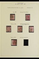 1855-83 SURFACE PRINTED COLLECTION Presented On Album Pages, We See 1855-7 4d Wmk Small Garter In Two Shades, Wmk Large  - Other & Unclassified