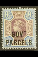 OFFICIAL GOVERNMENT PARCELS 1887-90 9d Dull Purple & Blue "GOVT. PARCELS" Overprint, SG O67, Very Fine Mint, Fresh. For  - Other & Unclassified