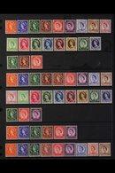 1952-1960 WILDINGS. NEVER HINGED MINT COLLECTION On Stock Pages, All Different, Includes 1952-54 Wmk Tudor Crown Set, 19 - Sonstige & Ohne Zuordnung