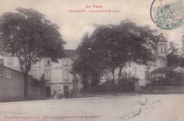 81 / REALMONT / LE GRAND HOTEL MURATET - Realmont