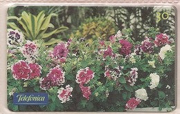 LSJP BRAZIL PHONECARD FLOWERS PETUNIA TELEFONICA - Brasilien