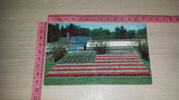 C-68961 AMERICAN FLAG AT ELIZABETH PARK HARTFORD - Hartford