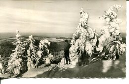 006465  Blick Vom Kahleberg Nach Schellerhau  1963 - Altenberg