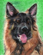 PEINTURE ACRYLIQUE SIGNEE MAEXI CHIEN BERGER ALLEMAND - Acryl