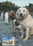 Australian Antarctic Territory 2015 The Dogs That Saved Macquarie Island,Dogs With King Penguins,maximum Card - Maximumkaarten