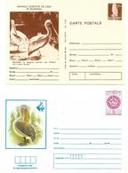 1977 & 1981 - PELICANS - Unused Postal Stationery From Romania And Bulgaria - Pélicans