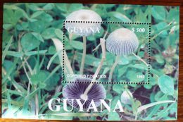 GUYANA Champignons, Champignon, Coprinus Pzicatilis (BF Emis En 1993) ** Neuf. MNH (setas, Mushrooms, Funghi) - Pilze