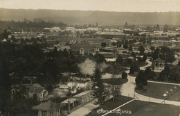 Real Photo  Rotorua   Duncan - Nouvelle-Zélande