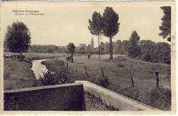 Delcampe - Ophoven Geistingen Kinrooi Duiker En Molenveld - Kinrooi