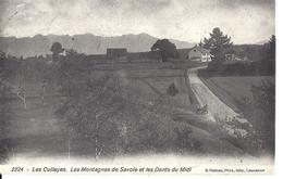 VAUD DISTRICT D'ORON - LES CULLAYES - LES MONTAGNES DE SAVOIE ET LES DENTS DU MIDI - Circulé Le 24.08.1911 - Les Cullayes