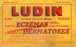 21- DIJON- RARE BUVARD LUDIN SIROP- LABORATOIRES REY- ECZEMAS GERMATOSES-PHARMACIE -IMPRIMERIE BELFORT - Produits Pharmaceutiques