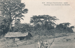 GUINEE - N° 218 - PAYSAGE DES ENVIRONS DE KINDIA - Guinée Française