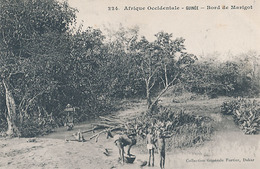 AFRIQUE OCCIDENTAL - GUINEE  - N° 224 - BORD DE MARIGOT - Frans Guinee