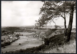 C3111 - TOP Nebra - Blick Vom Kuhberg - Reichenbach - Querfurt