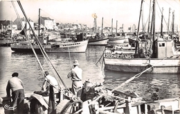 ¤¤  -  LA TURBALLE  -   Le Port   -  Bateaux De Pêche   -  ¤¤ - La Turballe