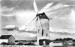 ¤¤  -  LA TURBALLE  -  Le Moulin De KERBROUEE   -  ¤¤ - La Turballe