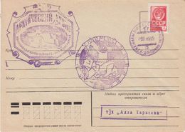 Russia 1990 Arctica Cover (41947) - Sonstige & Ohne Zuordnung