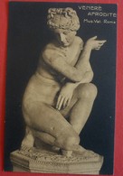 ROMA - MUSEO VATICANO - VENERE AFRODITE - Sculptures