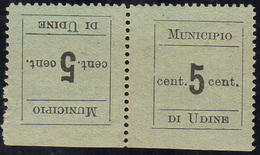 UDINE 1918 - 5 Cent., Coppia Orizzontale Tete-beche (1c), Gomma Integra, Perfetta. G.Oliva.... - Autres & Non Classés