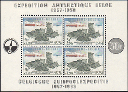 BELGIO FOGLIETTI 1957 - Spedizione Antartica (F31), Gomma Integra, Perfetto.... - Europe (Other)