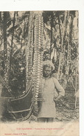 Iles Salomon Solomon  Proue D' Une Pirogue Salomonaise Edit Bergeret Nancy Undivided Back - Solomon Islands