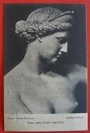 TESTE DELLA VENERE VINCITRICE - MUSEO NAZIONALE NAPOLI - Skulpturen