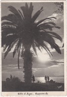 F06-209 NICE - CREPUSCULE SUR LA COTE D'AZUR - COLLECTION DE LUXE - LES EDITIONS MAR - Loten, Series, Verzamelingen