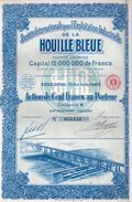Société Internationale Pour L'Exploitation Industrielle De La Houille Bleue - Action De Cent Francs Au Porteur - Electricidad & Gas