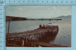 Gaspe Quebec -Fishing Cove Et Belle Anse - A Servit En 1975+ Timbre CND -post Card Carte Postale - Percé