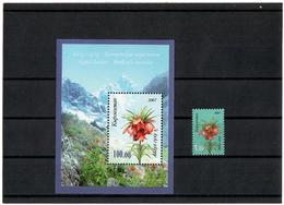 Kyrgyzstan.2007 Mountain Flower. 1v:1.00 + S/S: 100.oo Michel # 494+BL49 - Kirghizistan