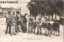 LE FAOUET UN COIN DE LA FOIRE MARCHE BESTIAUX VACHES 56 MORBIHAN - Faouët