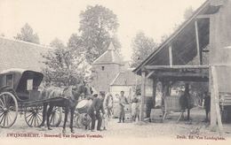 ZWIJNDRECHT. 10 Cartes Postales, Dont «Brouwerij Van Bo - Autres & Non Classés