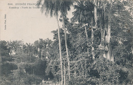 KONAKRY - N° 556 - FORET DE TOUMBO - French Guinea