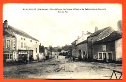 CPA 52 Fayl Billot " Grand Centre De Culture D'osier - Rue Du Vau " - Fayl-Billot