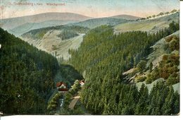 006566  St. Andreasberg I. Harz - Wäschgrund  1910 - St. Andreasberg