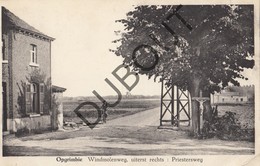 Postkaart-Carte Postale OPGRIMBIE Maasmechelen Windmolenweg  - Priestersweg (O134) - Maasmechelen