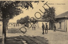 Postkaart-Carte Postale Kamp Elsenborn Avenue Schultz (O192) - Elsenborn (camp)