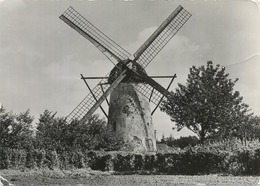 Ertvelde  :  Stenenmolen  1798  (  15 X 10.5 Cm )   Windmolen - Evergem
