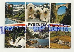 France. Hautes Pyrénées. Mosaïque. Gavarnie, Pont Napoléon, Pont D'Espagne, Lac De Gaube, Col D'Abisque, Chiots - Aragnouet