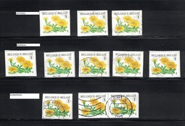 R113 Gestempeld / R113 Oblitéré - Kleurnuances / Nuances De Couleur - Gestempeld / Oblitéré - Coil Stamps