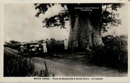 MOYEN CONGO - Route De Brazzaville à Pointe-Noire - Un Baobab - Pointe-Noire