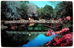 #689  Bridge Over Mirror Lake, The Bellingrath Gardens Of Mobile - Alabama, United States - Postcard - Mobile