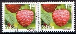 POLAND  #  FROM 2011  STAMPWORLD 4554 - Gebruikt