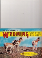 WYOMING (U.S.A.) - WONDERFUL - LAST OF THE 0LD WEST - 62 IMAGES IN LIVING COLOR. - Stati Uniti