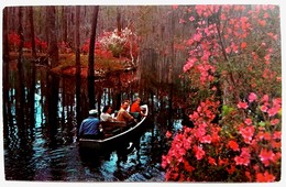 #690  Boat In Cypress Gardens, Preserve In Charleston - South Carolina, United States - Used Postcard 1969 - Charleston