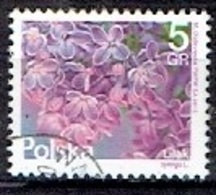 POLAND  #  FROM 2015  STAMPWORLD 4818 - Used Stamps